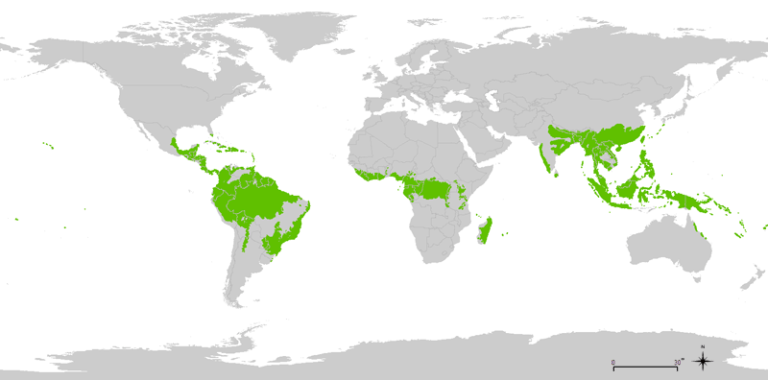 Where in the World is Tropical Milkweed Native?