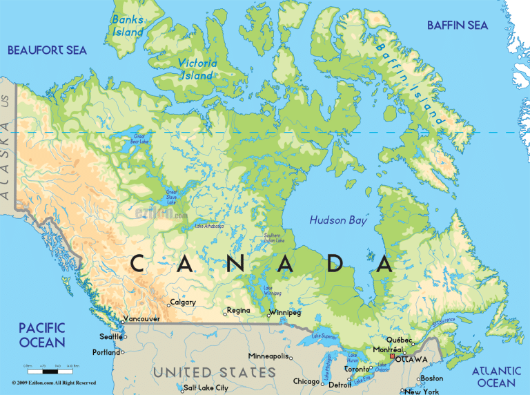 What are the Milkweed (Asclepias) Species of Canada?