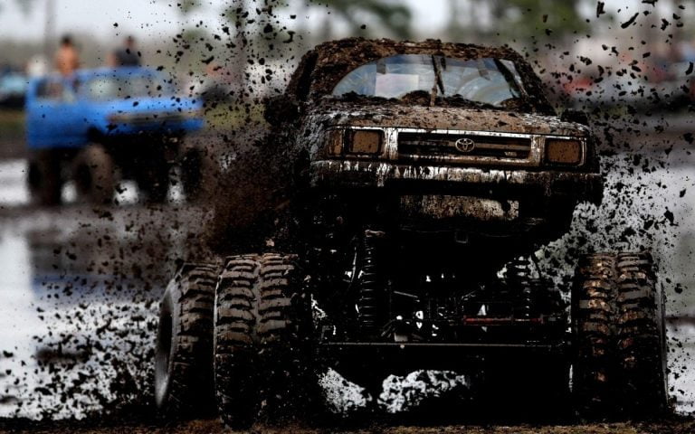 Do Butterflies Go Muddin’?