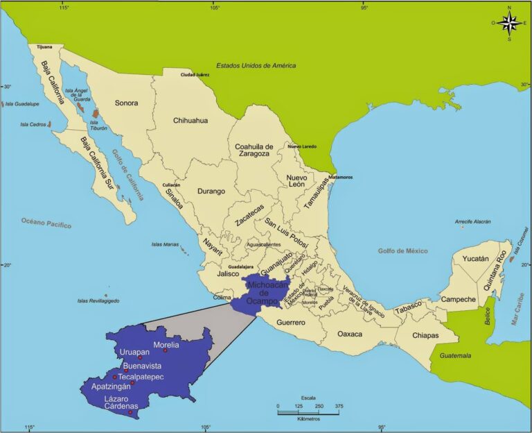El Espectacular Viaje de la Mariposa Monarca a Michoacán, México