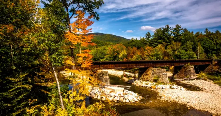 The Monarch Festival in Bethel, Maine: A Celebration of Nature’s Majestic Migrants