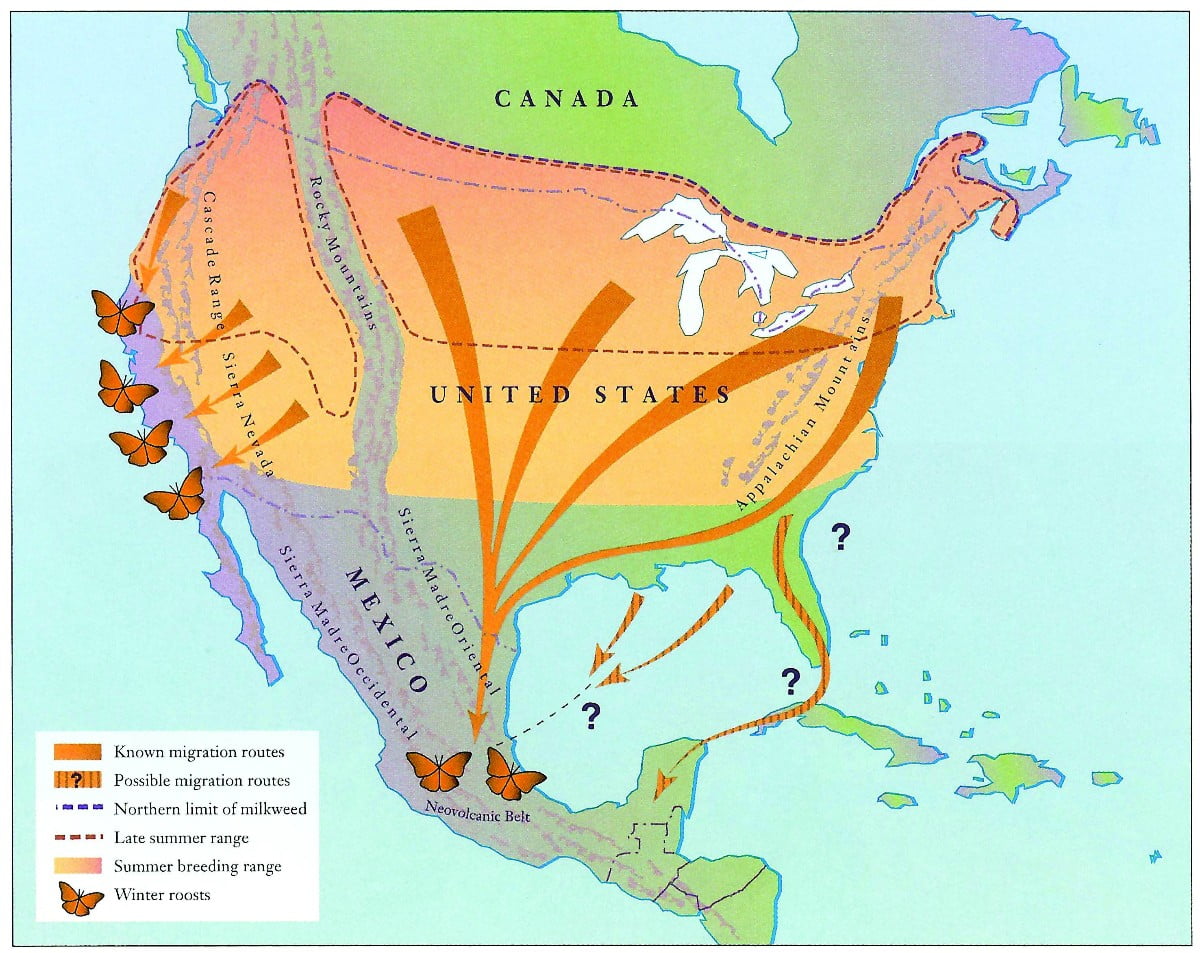 Monarch Butterfly Migration Map Johnny Butterflyseed