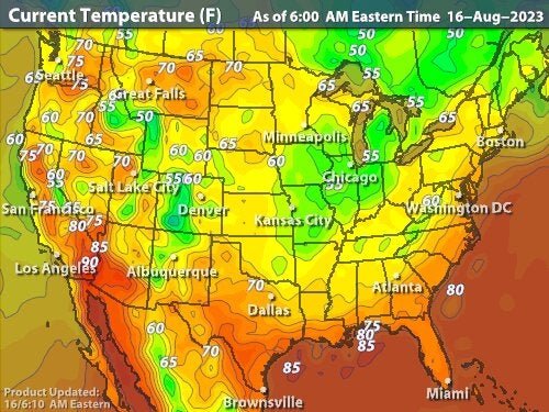 What Temperature is TOO Cold for a Monarch Butterfly? - Johnny ...